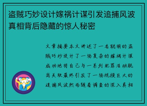 盗贼巧妙设计嫁祸计谋引发追捕风波真相背后隐藏的惊人秘密